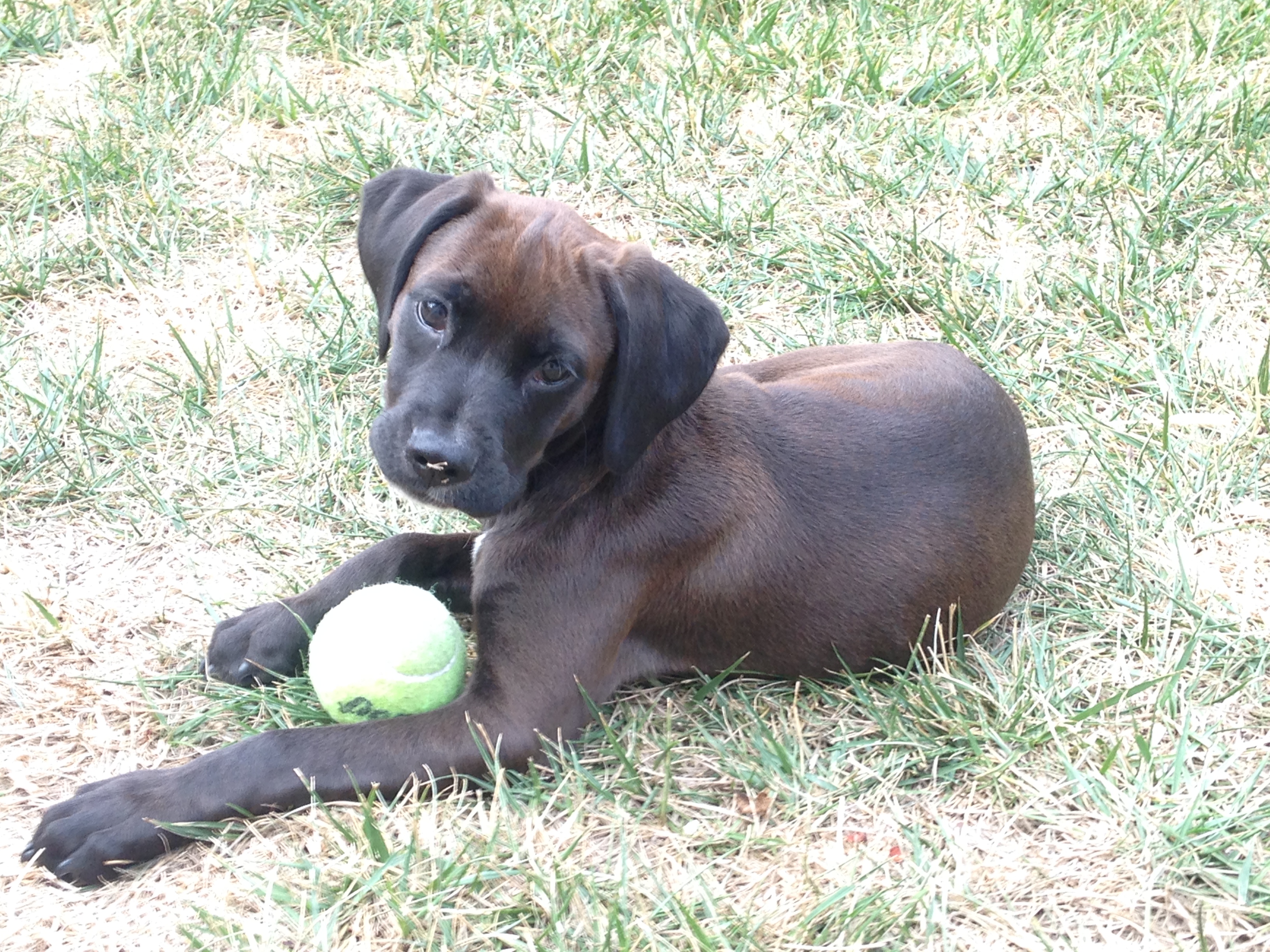 Charlie